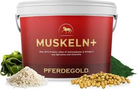 „Pferdegold“ „Muscles +“ – baltymų turtingos arklių granulės su 21 aminorūgštimi