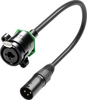 „QIANRENON“ „Combo“ lizdo į XLR adapterio montavimo trumpas kabelis, „XLR/TRS Combo“ kištukas į 3 kontaktų XLR kištuką, hibridinis jungiklis, prailginimo kabelis, skirtas mikrofonams, mikšerinėms ir stiprintuvams, 35 cm/13,8 colio