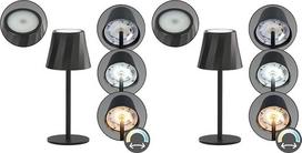 „Reality Leuchten“ LED akumuliatorinis lauko stalinis šviestuvas „Diaz“ R55961132, matinis juodas metalas, su 1,6 vato LED lempute, reguliuojama šviesos spalva, 4 jutikliniai nustatymai (2 vnt. pakuotėje)
