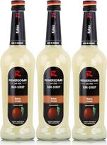 „Riemerschmid“ kokosų sirupas, 0,7 l, 3 vnt. pakuotė