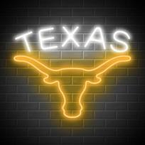 „Texas Longhorn“ neono ženklas sienų dekoravimui, reguliuojamas ryškumas, LED neono ženklai su buliaus atvaizdu, neono ženklai su karvės atvaizdu, USB maitinamas kabinamas neono ženklas žaidimų kambariui, „Man Cave“ barui