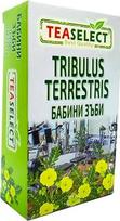 „Tribulus Terrestris“ žolelių arbatos mišinys – 20 filtrinių maišelių. Gryno skonio aukščiausios kokybės bulgarų arbata vyrams, 20 g. Be priedų, dažiklių ir dirbtinių aromatų