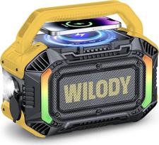 „Wilody“ 100 W nešiojamas „Bluetooth“ garsiakalbis, „Bluetooth“ garsiakalbis su apšvietimu, didelis „Bluetooth“ muzikinis grotuvas, garsiakalbis su IPX7 atsparumu vandeniui, ekvalaizeris, RGB apšvietimas, USB jungtis, 20 val. baterija, TWS, BT5.3, skirtas
