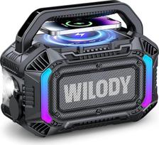 „Wilody“ 100 W nešiojamas „Bluetooth“ garsiakalbis, „Bluetooth“ garsiakalbis su apšvietimu, didelis „Bluetooth“ muzikos grotuvas, garsiakalbis su IPX7 atsparumu vandeniui, ekvalaizeris, RGB apšvietimas, USB, 20 val. baterija, TWS, BT 5.3, skirtas vakarėli