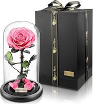 „YourRoses“ tikra aukščiausios kokybės rožė stiklo vazelėje su gražia dovanų dėžute, ilgaamžė ir elegantiška dovana kaip meilės ženklas, dovana iš širdies