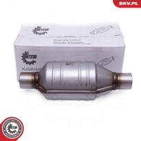 Universalus katalizatorius ESEN SKV 62SKV039