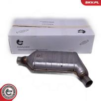 Universalus katalizatorius ESEN SKV 62SKV043