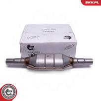 Universalus katalizatorius ESEN SKV 62SKV050