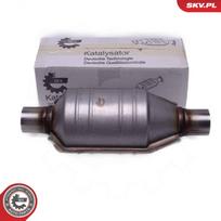 Universalus katalizatorius ESEN SKV 62SKV071