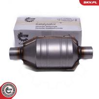 Universalus katalizatorius ESEN SKV 62SKV101