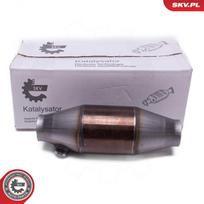 Universalus katalizatorius ESEN SKV 62SKV120