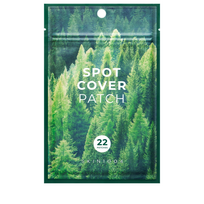 SKIN1004 Tea-Trica Spot Cover Patch – hidrokolooido pleistrai spuogams, 22 vnt.