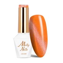 MOLLY NAILS CAT EYE magnetinis gelinis lakas, Nr.171