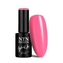 NTN PREMIUM gelinis lakas, Nr.343