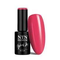 NTN PREMIUM gelinis lakas, Nr.341