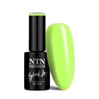 NTN PREMIUM gelinis lakas, Nr.379