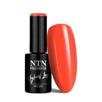 NTN PREMIUM gelinis lakas, Nr.430