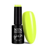 NTN PREMIUM gelinis lakas, Nr.431