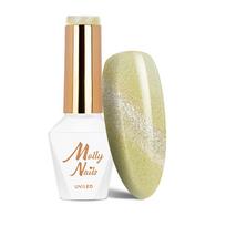 MOLLY NAILS CAT EYE magnetinis gelinis lakas, Nr.260