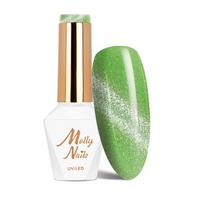 MOLLY NAILS CAT EYE magnetinis gelinis lakas, Nr.261
