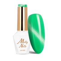 MOLLY NAILS CAT EYE magnetinis gelinis lakas, Nr.271