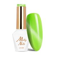 MOLLY NAILS CAT EYE magnetinis gelinis lakas, Nr.270