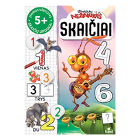 Skruzdėliukas Nežiniukas. Skaičiai 5+