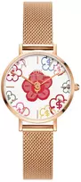 Moteriškas laikrodis DANIEL WELLINGTON DW00100722 (36MM)