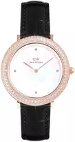 Moteriškas laikrodis DANIEL WELLINGTON DW00100827 (32MM)