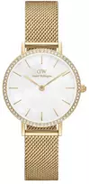 Moteriškas laikrodis DANIEL WELLINGTON DW00600662 (28MM)