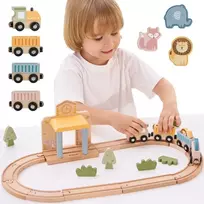 Viga Toys Medinis traukinių rinkinys PolarB, 30 dalių