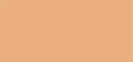 Mac Studio Fix Tech Cream-To-Powder Foundation 10 ml