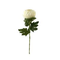 Baltas dirbtinis chrizantemos žiedas ant koto, 67 cm, 2 vnt.