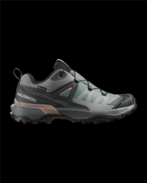 SALOMON shoes X Ultra 360 GTX W sedona sage/urban chic/etherea