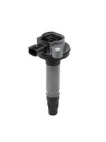 BorgWarner (BERU) ZS601 Ritė, uždegimas