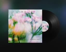 Vinilinė plokštelė - Monika Liu, Los Secretos De Pablo - Šešėliai Lange LP