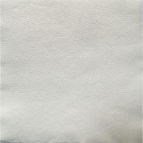 Servetėlės LENEK Viensluoksnės Baltos 24x24cm