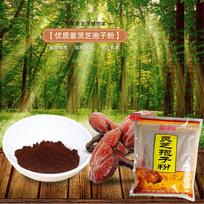 Natural Reishi Spore Powder Ganoderma Lucidum Select 500g Healthy Tea #500g/17.64oz*1pack