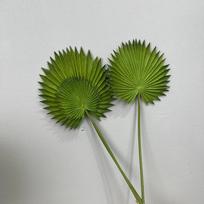 Hotel Decor Artificial Plants Leaves PU Palm Leaves Festive Decoration Simulation Livistona Chinensis Bundled Green Plant Leaf