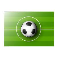 Futbolo aikštės spausdinimo kilimas svetainei Namų dekoravimas Neslystantis vaikų žaidimai Didelio ploto kilimėliai Grindų kilimėliai Miegamojo kilimas 120cm x 160cm