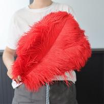 1 vnt. 45-50 cm elegantiškas baltas pūkuotas stručio plunksnos papuošimas vestuvėms, vakarėliams, namų kambariui, „pasidaryk pats“ dekoracijoms 1 pc (45-50cm) raudona