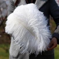 1 vnt. 45-50 cm elegantiškas baltas pūkuotas stručio plunksnos papuošimas vestuvėms, vakarėliams, namų kambariui, „pasidaryk pats“ dekoracijoms 1 pc (45-50cm) balta