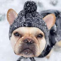 Warm Winter Hats for Dogs, Windbreaker, French Bulldog Knitting, Hat for Chihuahua, Softball, Hat for Pets, Accessories for Puppies L 53-61cm gray