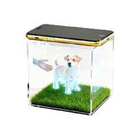 3D Pet Hologram Memorial Box Digital House Keepsakes Clear Acrylic Case for Dog Cats, Loss of Pet Sympathy Gift Desktop gray
