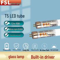 FSL T5 LED Tube Light
