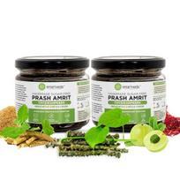 Smartveda Prash Amrit Chyawanprash Sugar Free | Ayurvedic Blend of 40+ Organic Herbs | Small Batches, Glass Jar (250 pack of 2)