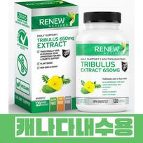 Male Function Tribulus Sexual Desire Increase Testosterone 1 Bottle 120 Capsules 1 pcs 120 Tablets green