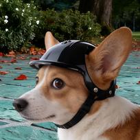 Dog Cat Helmet Outdoor Cap for Pomeranian Bichon Frise Yorkshire Terrier Pink S black S