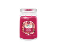 Yankee Candle - didelė kvapnioji žvakė SANTA ON SKIS 567g 60-90 val.