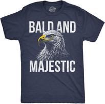 Mens Funny T Shirts Bald and Majestic Sarcastic Eagle Graphic Novelty Tee for Men L gray